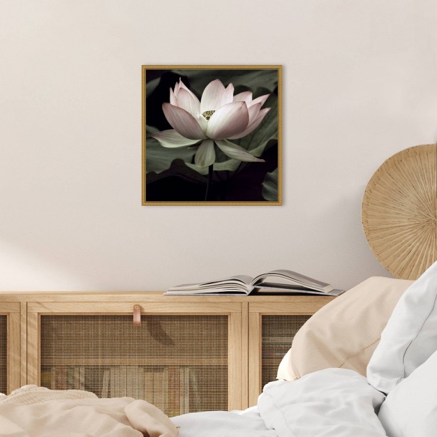 X 16 quot The Lotus I By Andy Neuwirth Framed Canvas Wall Art Amanti Art