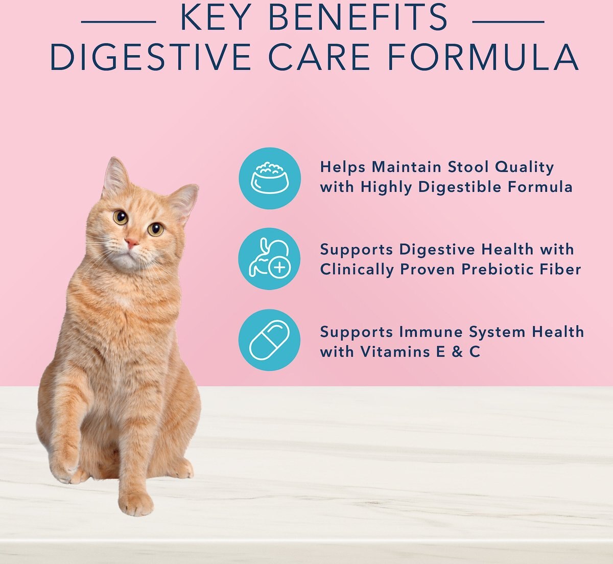 Blue Buffalo True Solutions Blissful Belly Digestive Care Formula Wet Cat Food， 3-oz， case of 24