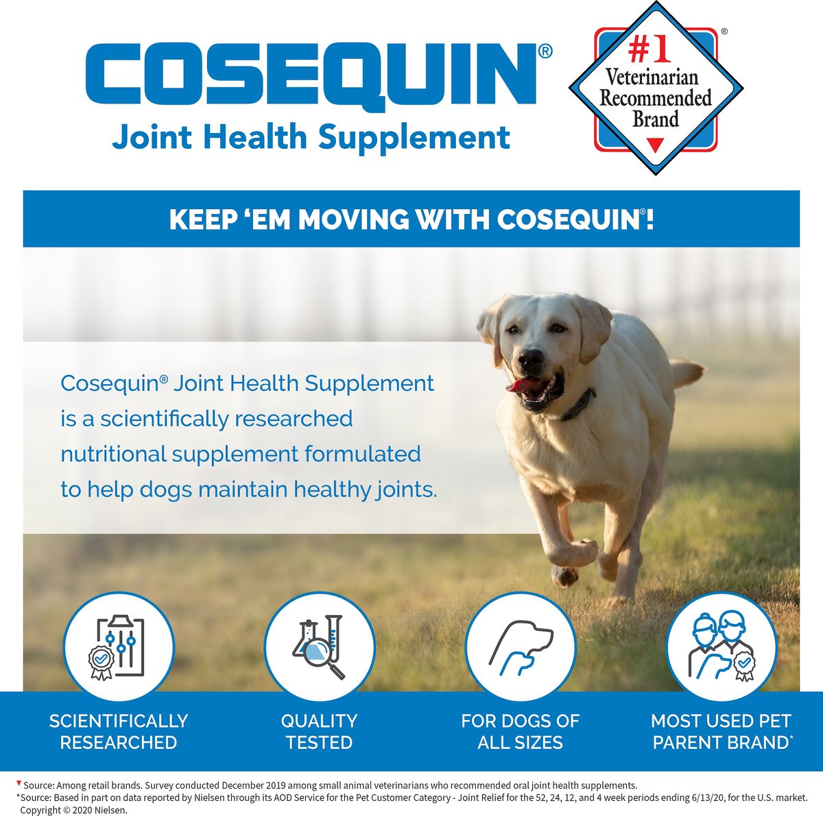 Nutramax Cosequin Regular Strength Hip and Joint Capsules Joint Supplement for Cats and Small Dogs， 132 count