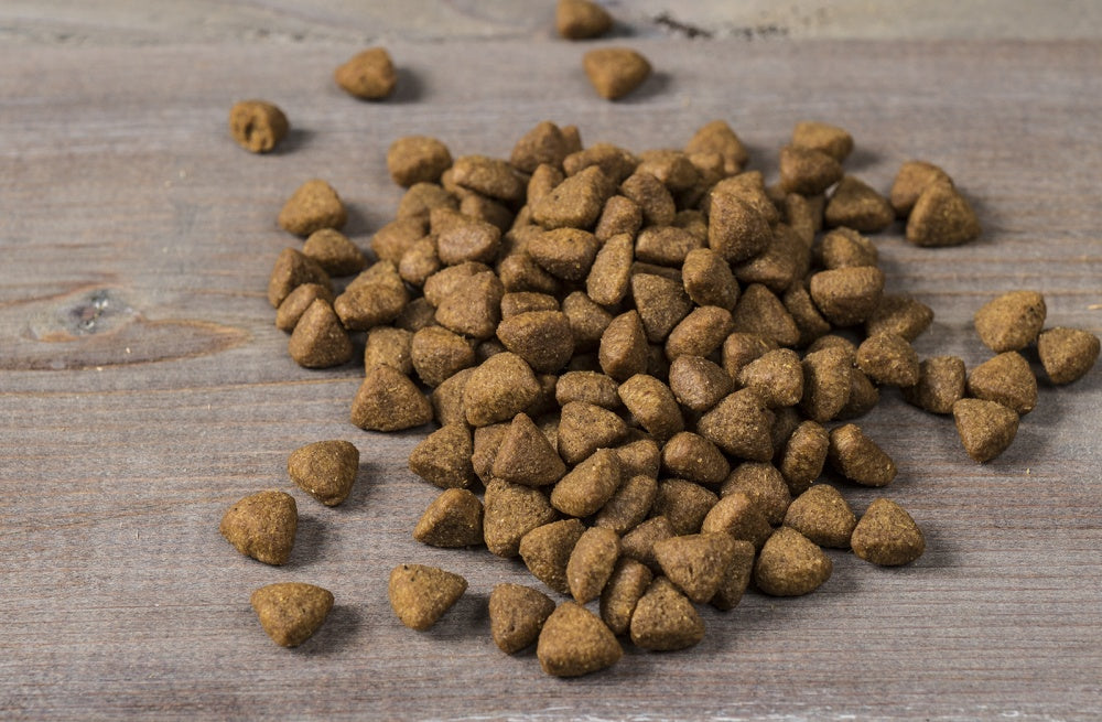 FreeStyle Grain Free Lamb and Chickpeas Recipe Dry Dog Food;