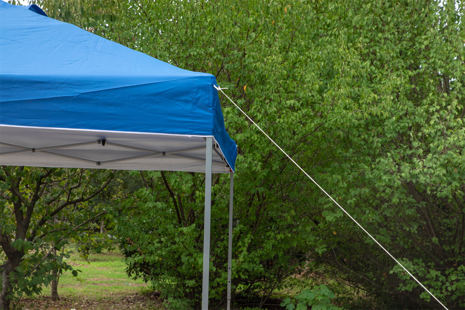 MF Studio 10x10ft Pop-up Canopy Tent Straight Legs Instant Canopy for Outside with Wheeled Bag - Blue