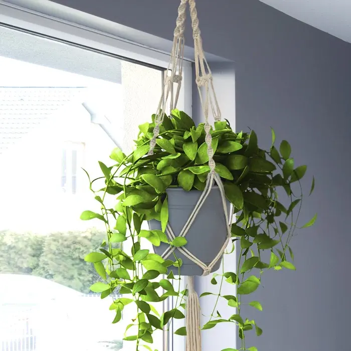 Wholesale Supply Handmade Macrame Plant Hangers Wall Hanging Decorative Planter with Custom Logo from India