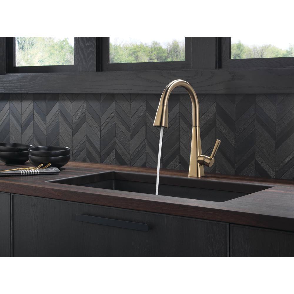 Delta Lenta Single-Handle Pull-Down Sprayer Kitchen Faucet with ShieldSpray Technology in Champagne Bronze 19802Z-CZ-DST