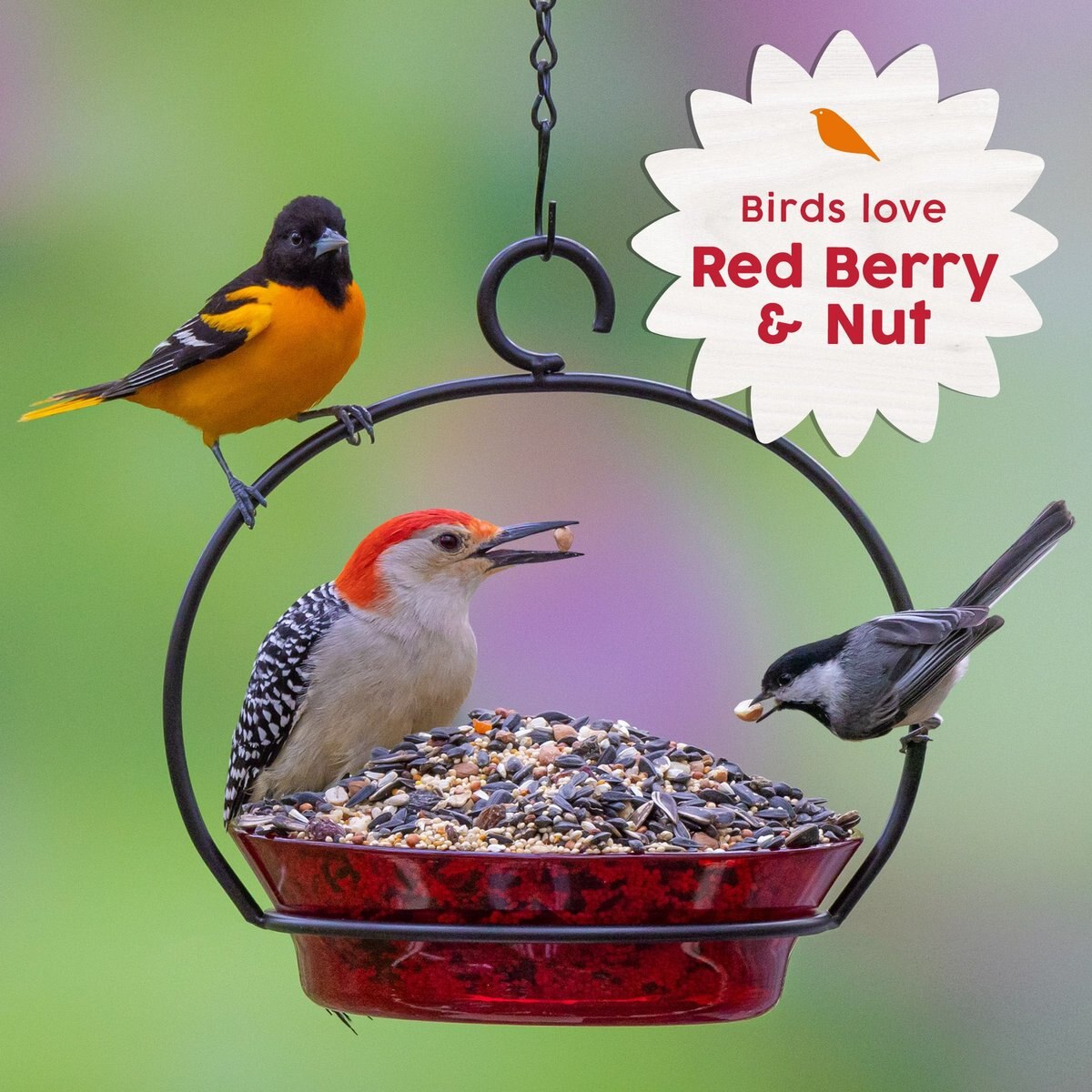 Harvest Seed and Supply Red Berry and Nut Wild Bird Food， 10-lb bag