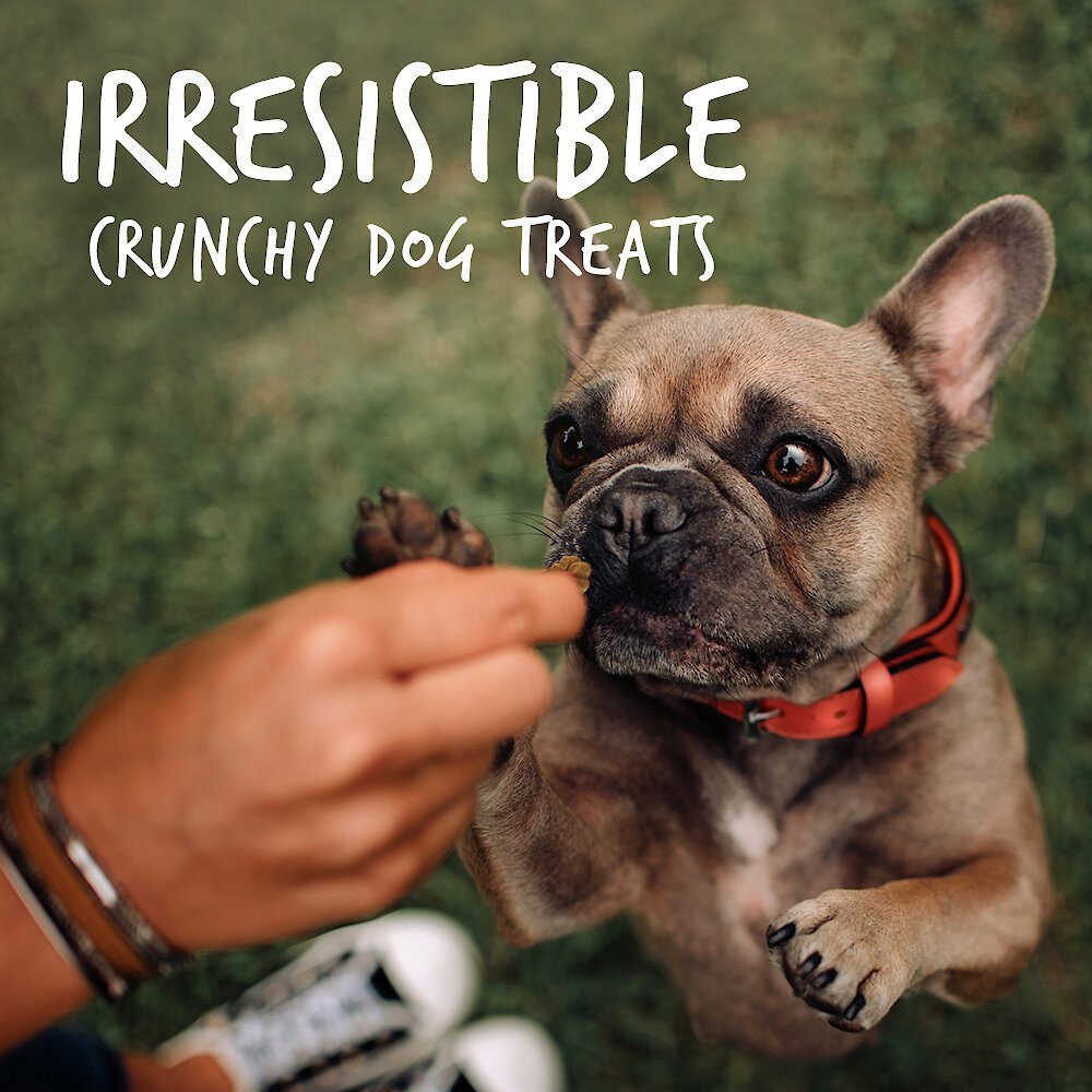 Fruitables Crispy Bacon and Apple Flavor Crunchy Dog Treats