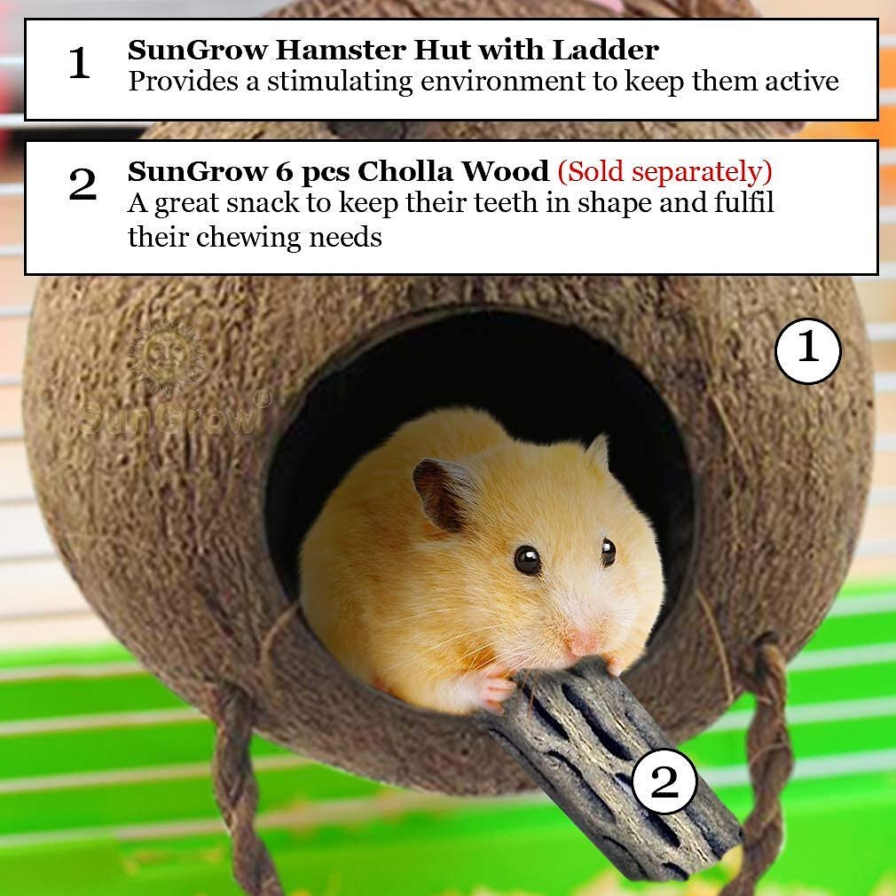 SunGrow Hamster and Gerbil Coconut Hut with Ladder Hideout Accessory Small Animal House， 5-in