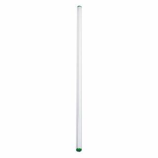 Philips 40-Watt 4 ft. Deluxe Linear T12 Fluorescent Tube Light Bulb Daylight (6500K) (2-Pack) 226837