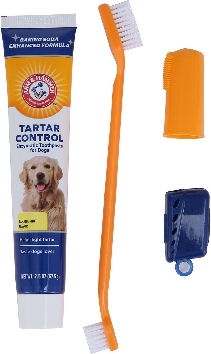 Arm and Hammer Tartar Control Banana Mint Flavored Enzymatic Dog Dental Kit