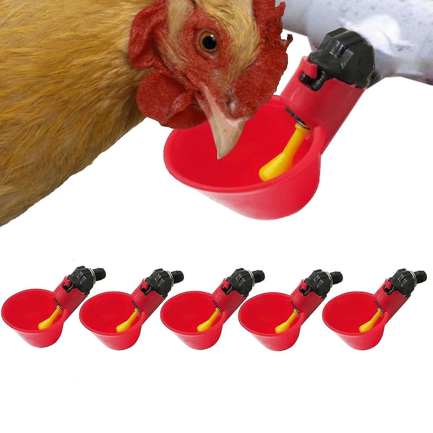 6pcs Automatic Chicken Drinker Cups，automatic Poultry Drinker Feeder，water Drinking Cups For Livesto