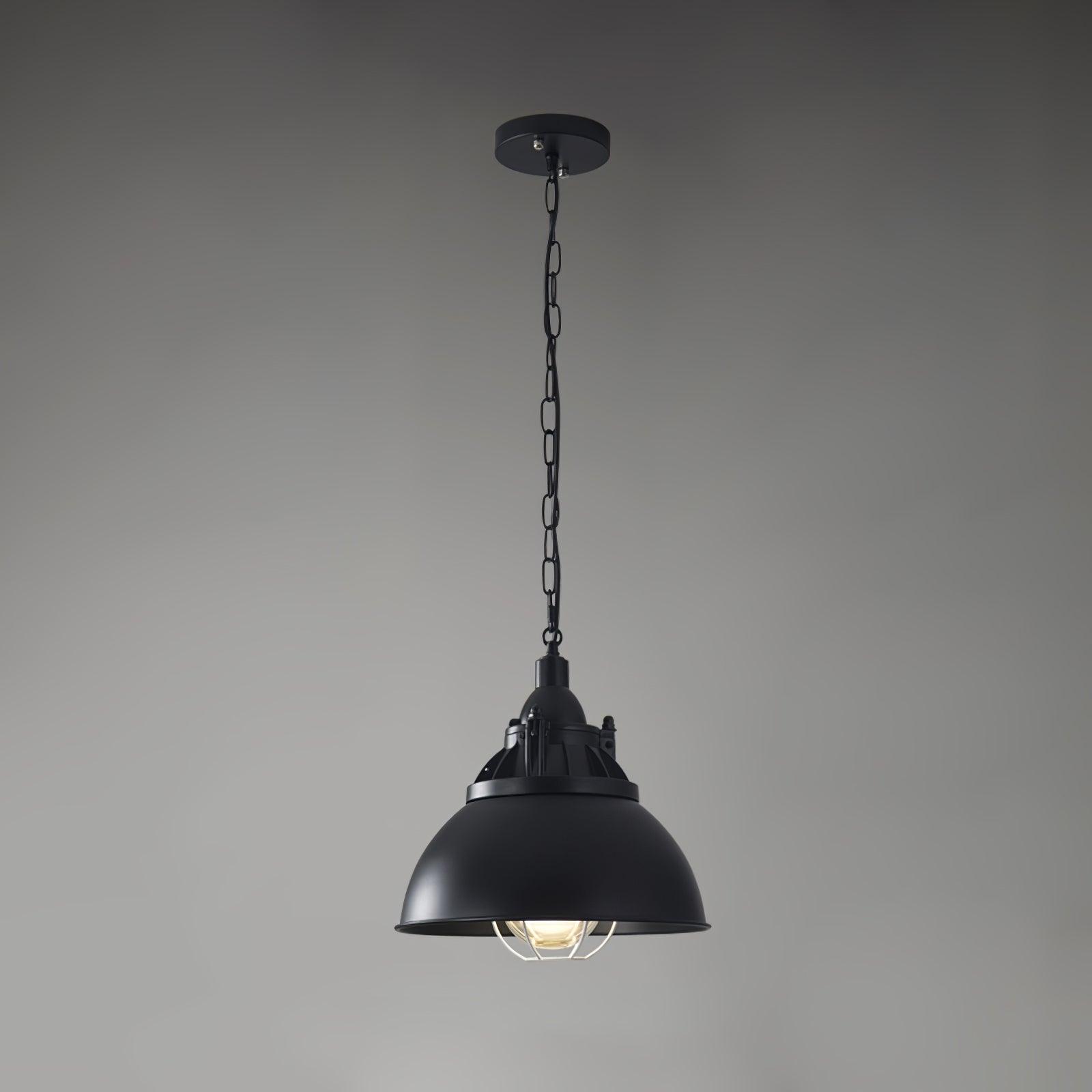 Vintage Industrial Collections Pendant Light