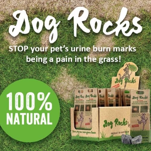 Dog Rocks Grass and Lawn Saver Dog Urine Burn Patch Protection