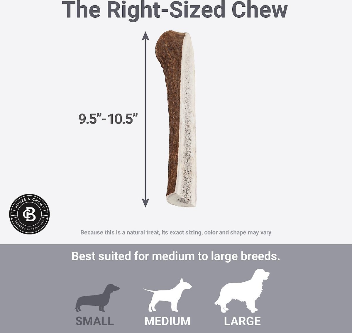 Bones and Chews Made in USA Elk Antler Split Dog Chew， 9.5 - 10.5 in， X-Large