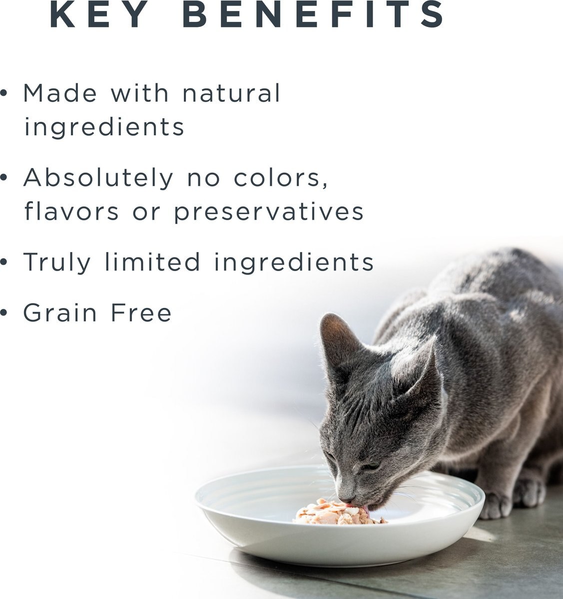 Reveal Natural Grain-Free Ocean Fish in Gravy Flavored Wet Cat Food， 2.47-oz can， case of 24