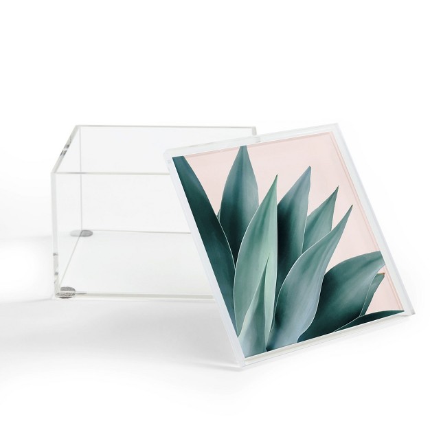 Gale Switzer Agave Flare Ii Peach Acrylic Box Deny Designs