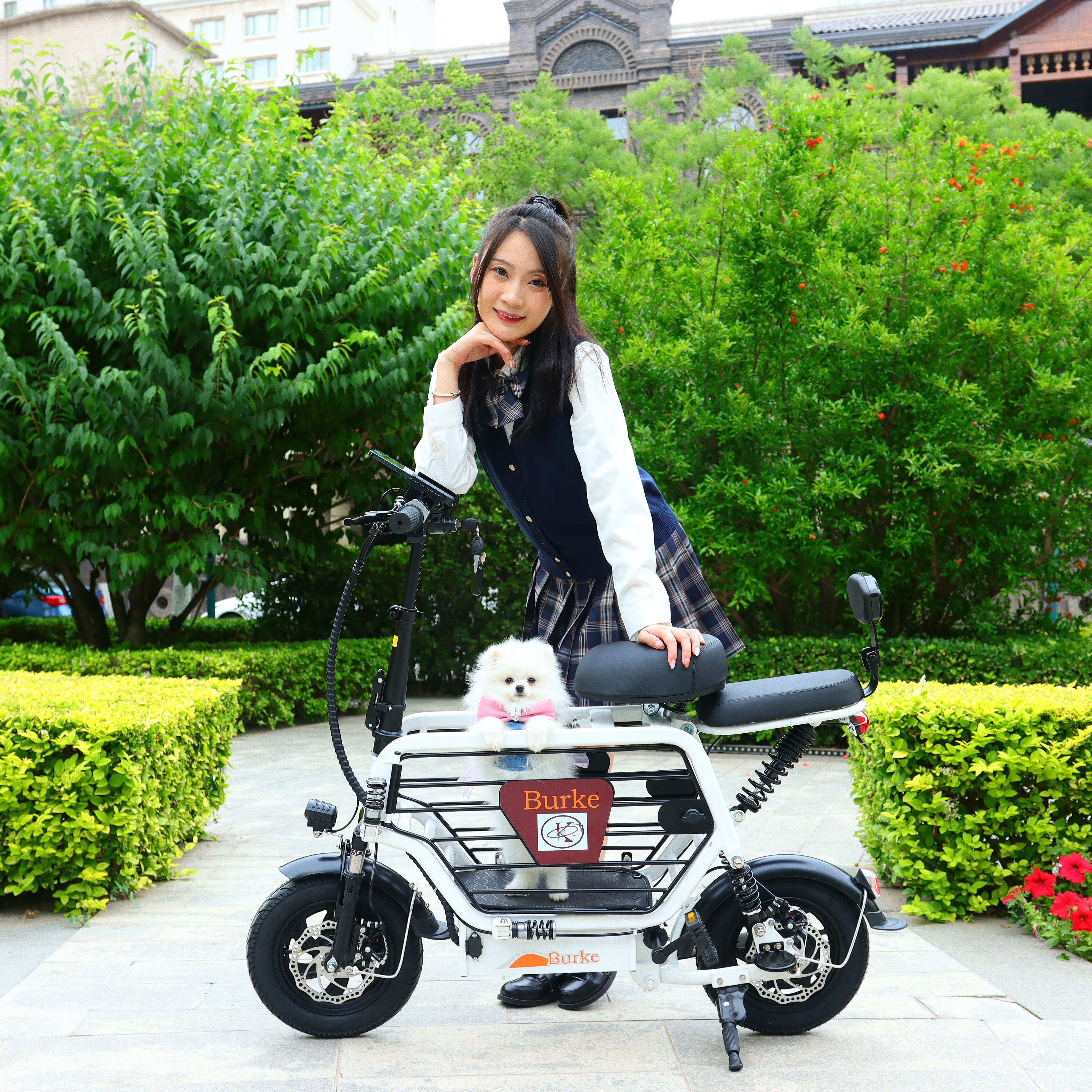 2023 Wholesale OEM cycle china cheapest e bike electric  high quality bike city 48V 8Ah folding electric pet bike for women