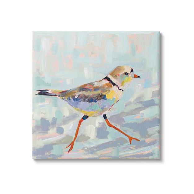 Stupell Industries Coastal Plover Abstract Bird Gallery Wrapped Canvas Wall Art