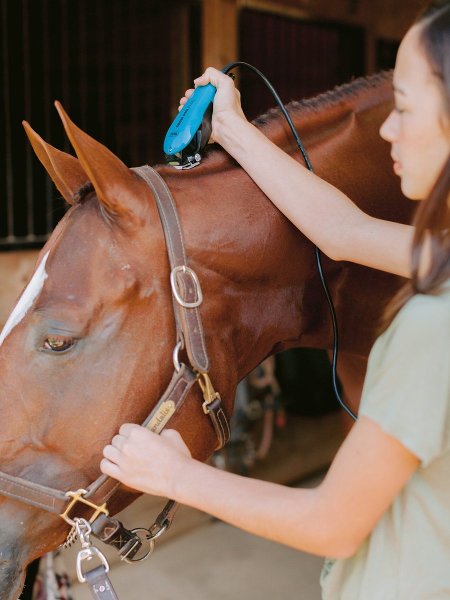 Wahl Clipper Horse Grooming Essentials Kit