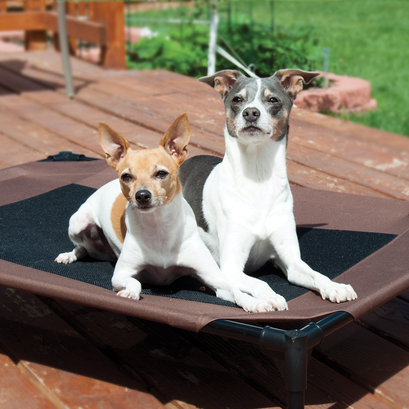 KandH Cooling Cot Pet Dog Bed， Large， Gray/Black Mesh