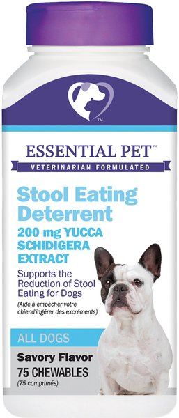 21st Century Essential Pet Coprophagia Deterrence Dog Supplement