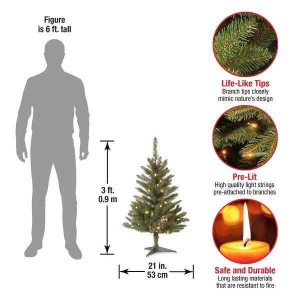 National Tree Company 3 ft. Kingswood Fir Pencil Tree with Clear Lights