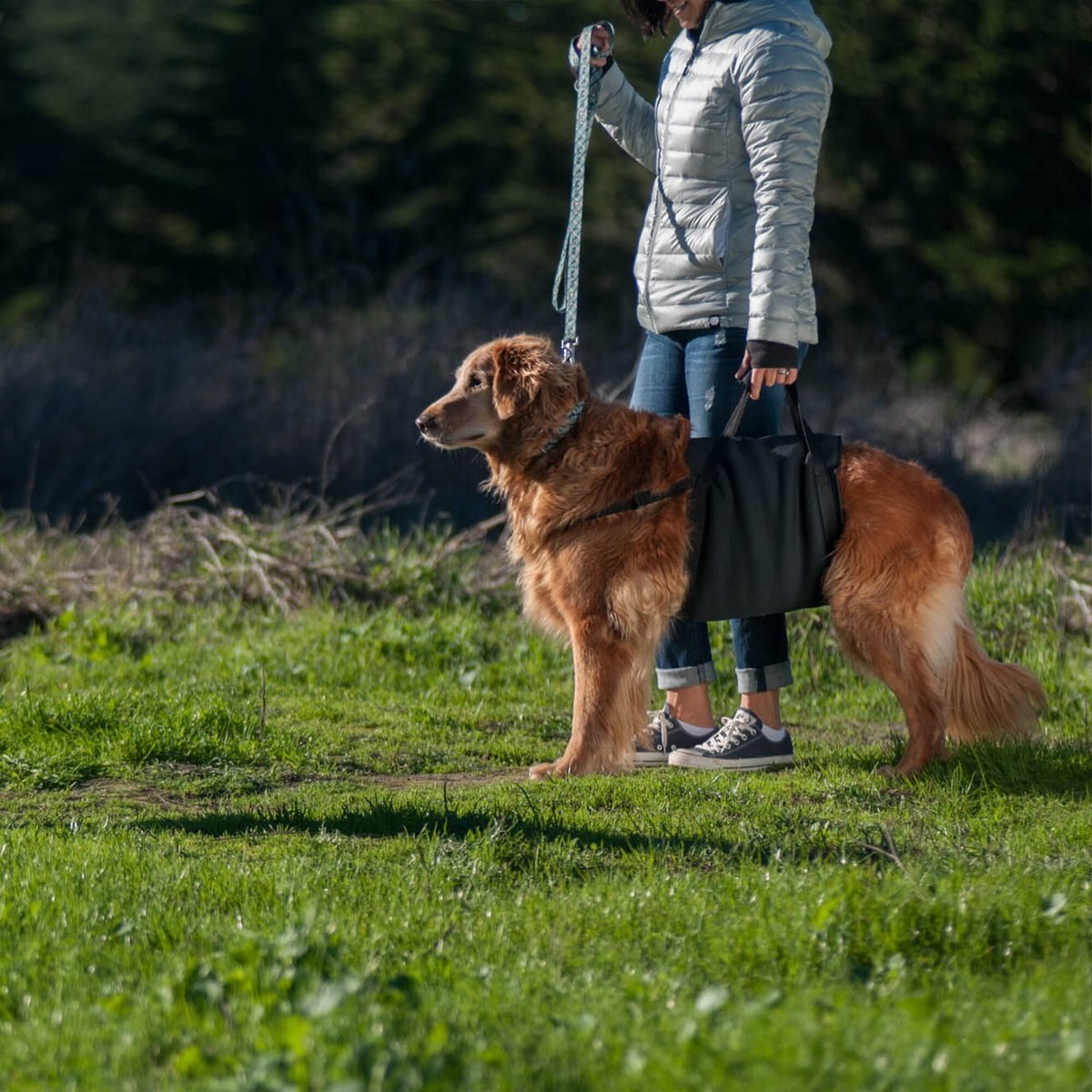 WALKABOUT Walkabelly Support Sling Dog Harness