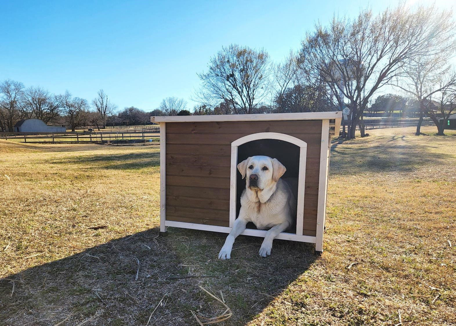 Zylina Log Cabin Wooden Dog House with PVC Roof 46