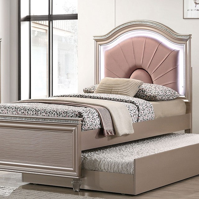 BED     |     CM7901RG