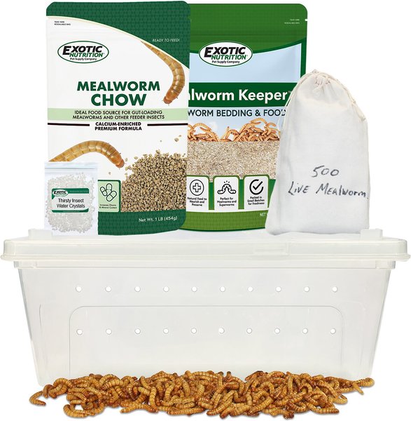 Exotic Nutrition Small Animal Mealworm Breeder Kit