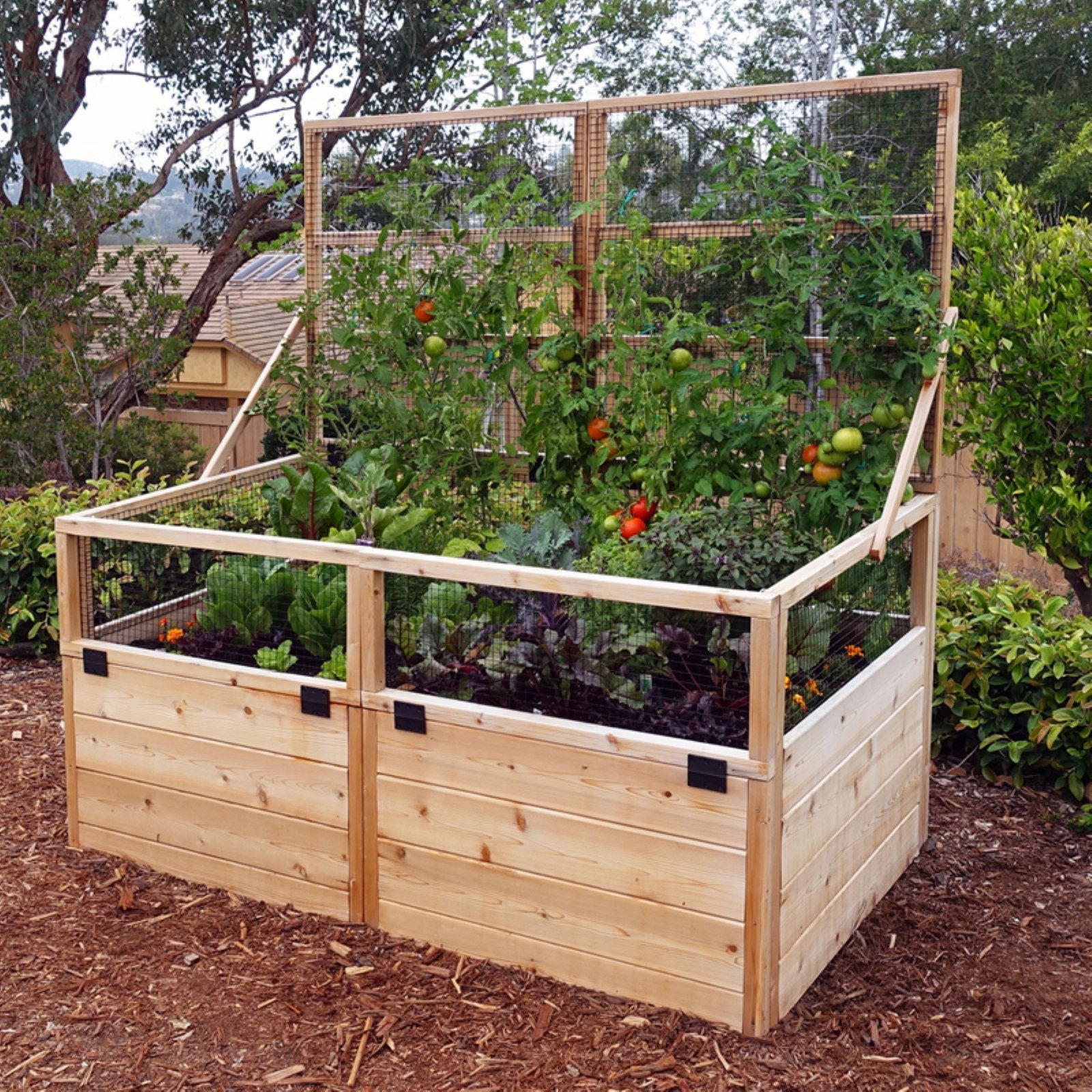 Outdoor Living Today Raised Cedar Garden Bed with Trellis/Lid - 6 x 3 ft.