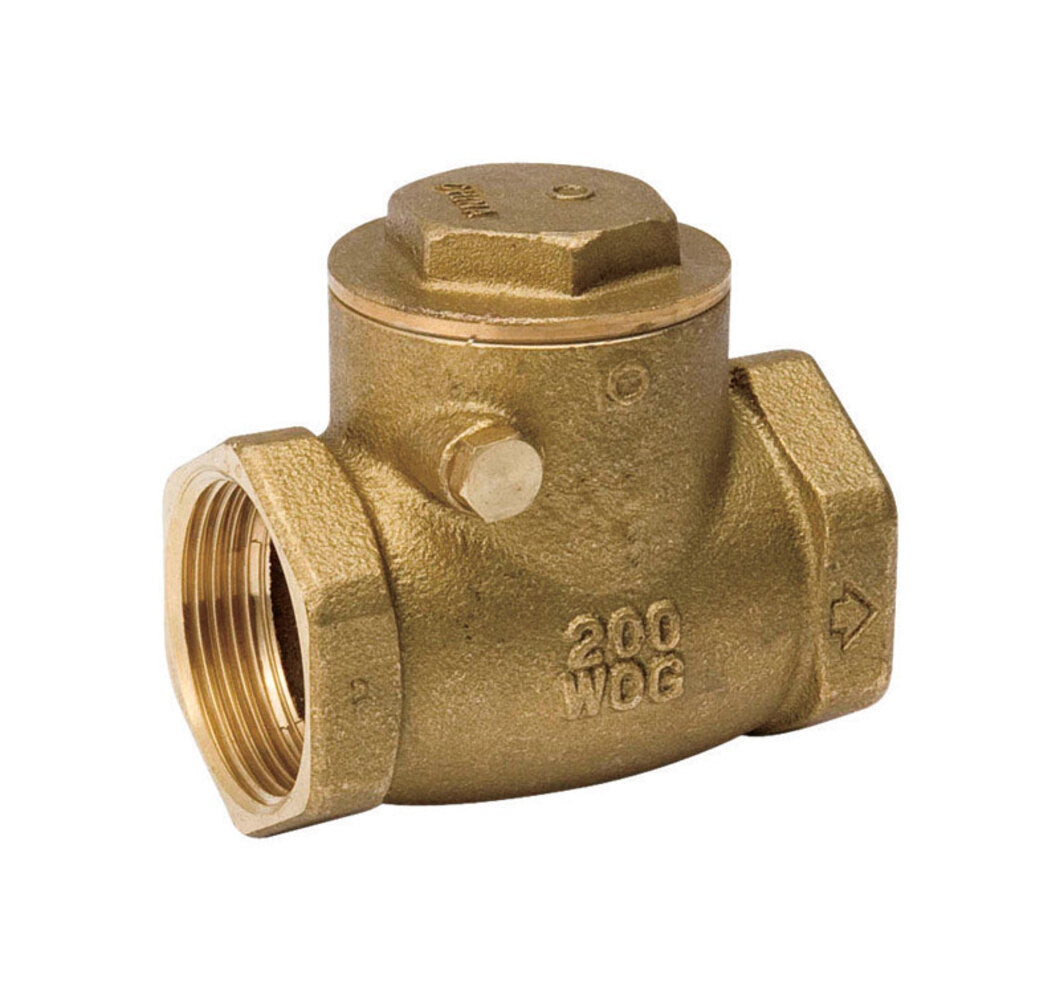 SWING CHECK VALVE 2