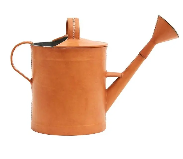 Stylish Metal Watering can for home garden Gold color modern design Flower Water Surahi shape metal watering can Garden Supplies