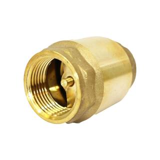 CMI inc 2 in. Spring Check Valve Lead Free 1136-NL