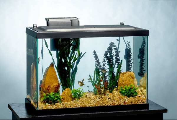 Tetra Aquarium + LED Lighting and Decor Fish Aquariums， 20-gal