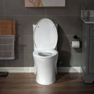 WOODBRIDGE Tango 1-Piece 1.01.6 GPF High Efficiency Dual Flush Elongated All-In One Toilet with Soft Closed Seat Included in White HT0033