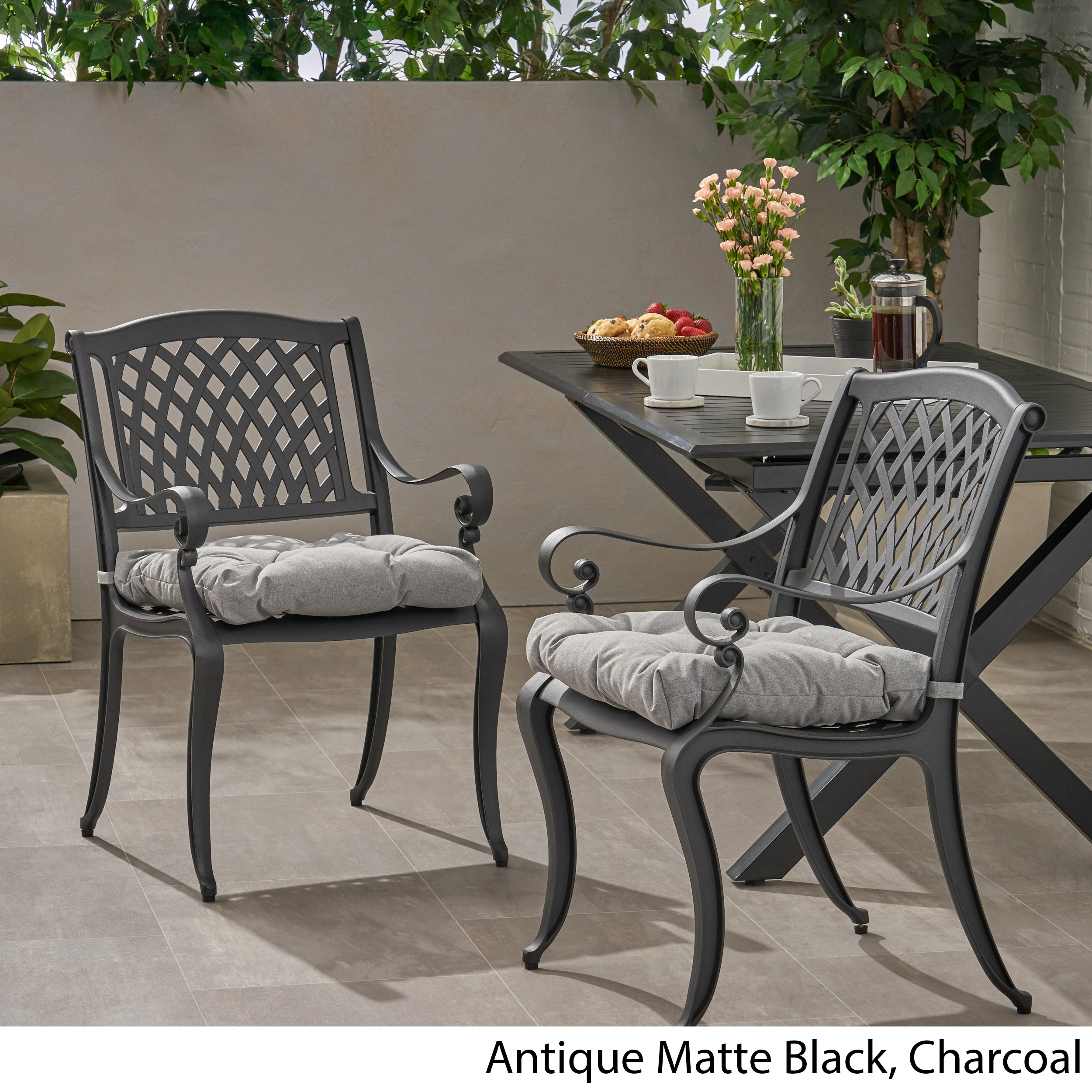 Allee Outdoor Dining Chair with Cushion (Set of 2)