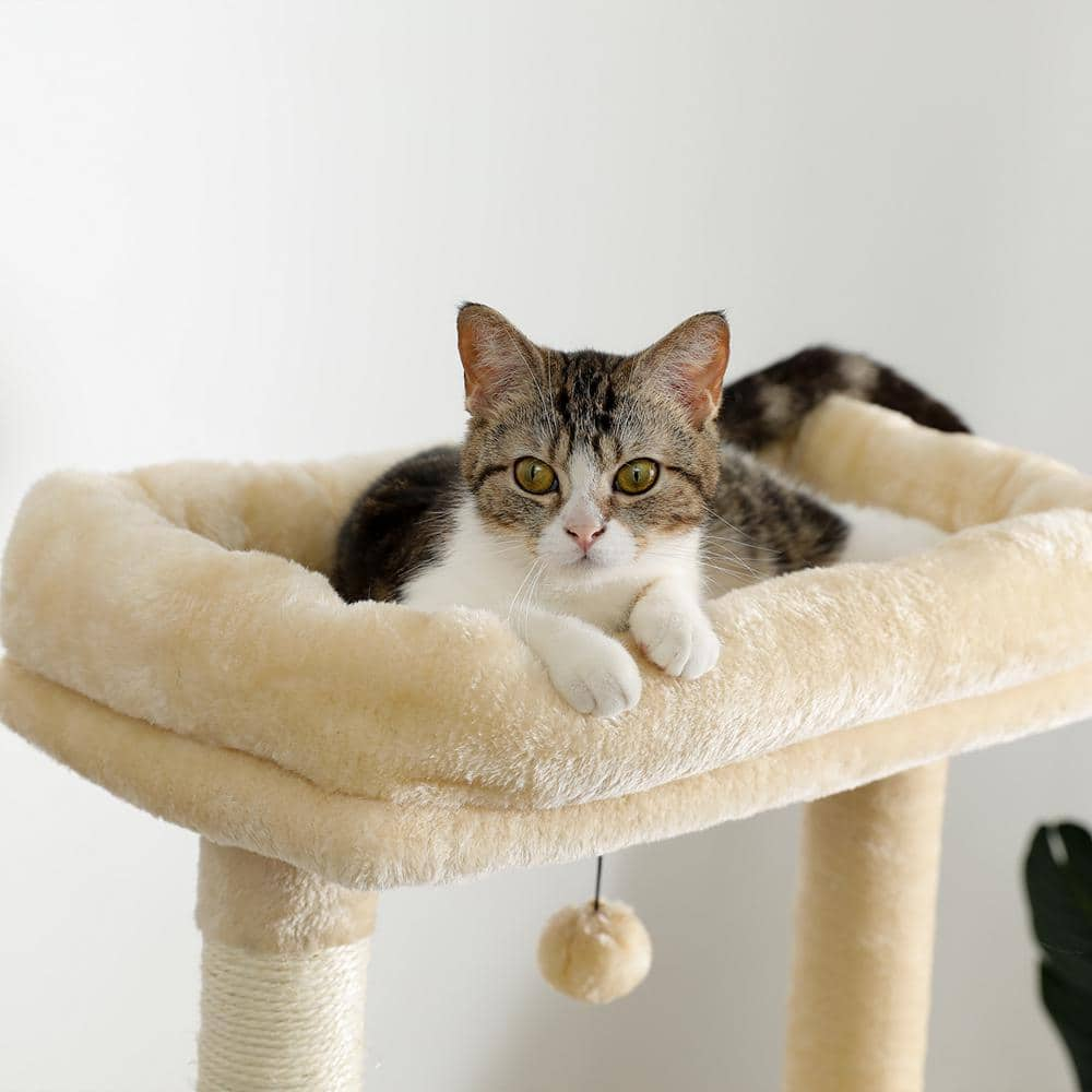 Foobrues Cat Tree 56 in. Cat Tower for Multiple Cats with Super Large Perch Double Condo Hammock and Scratching Post L-W79633963