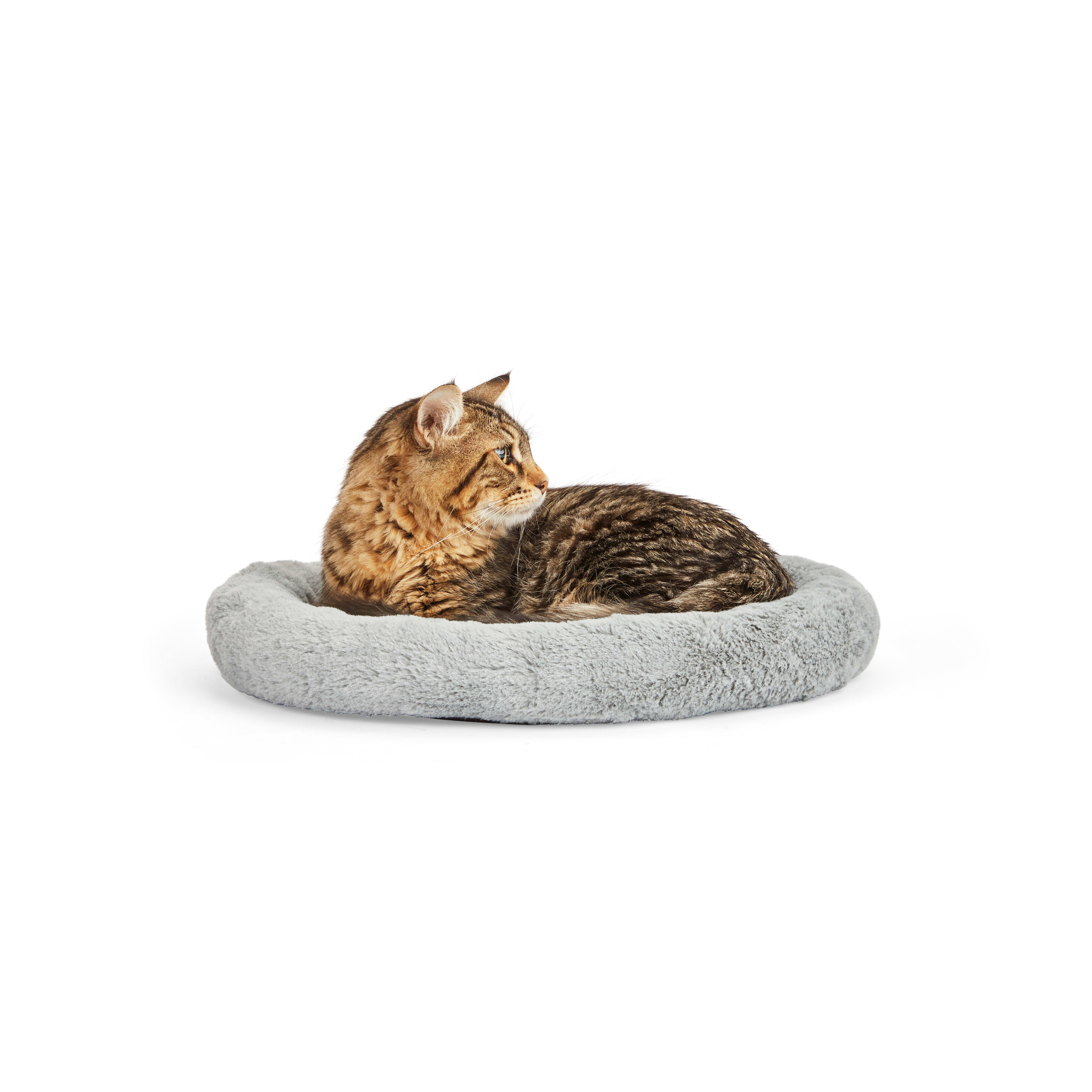 EveryYay Gray Snooze Fest Oval Cat Bed， 17