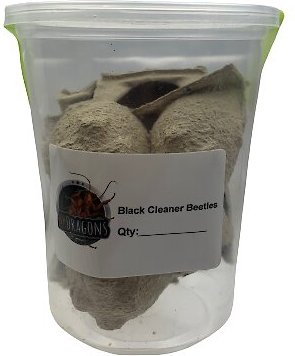 ABDragons Black Cleaner Beetles Small Pet and Reptile Food