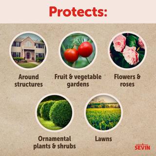 Sevin 3 lbs. Ready to Use Garden Insect Killer Dust 100539964