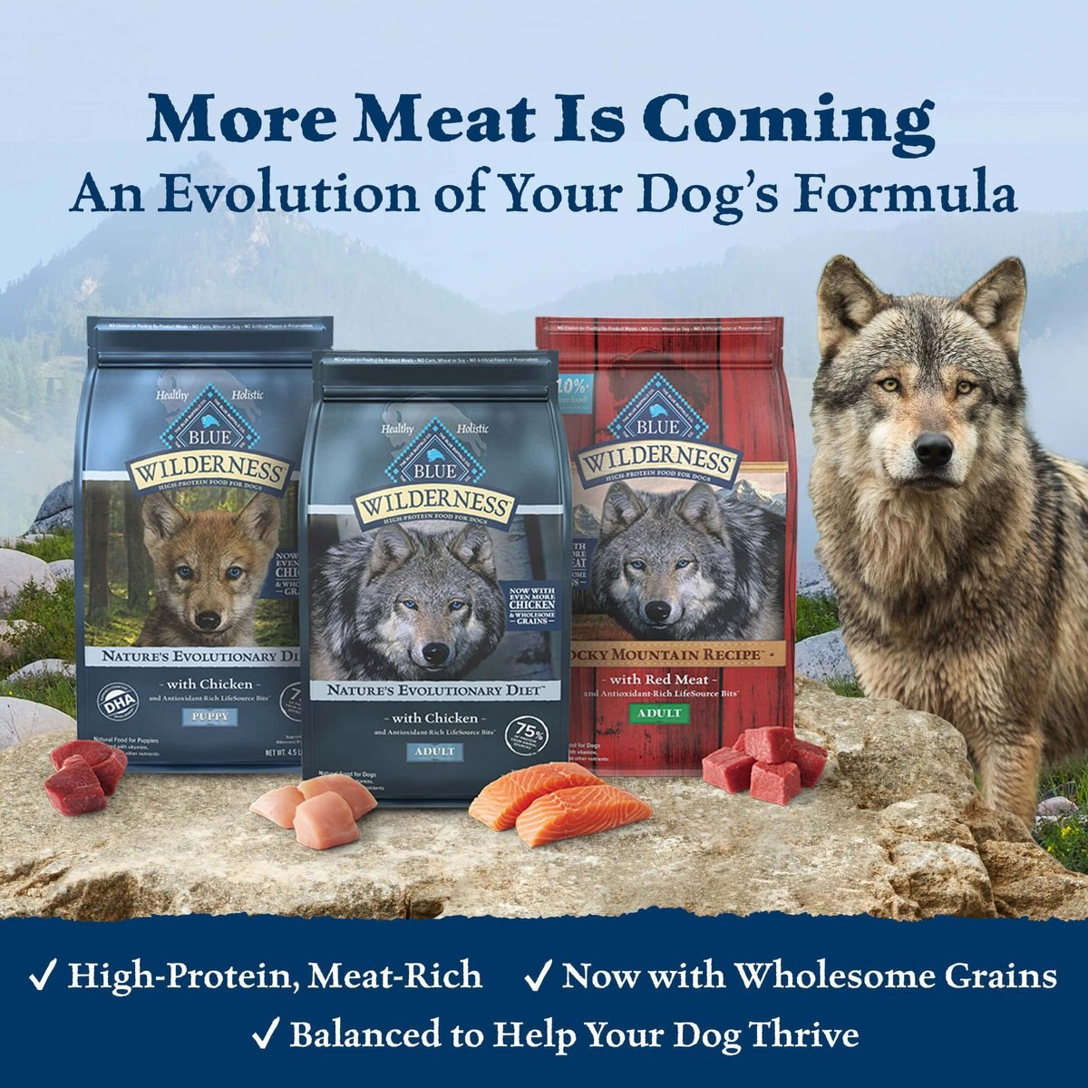 Blue Buffalo Wilderness Duck Recipe Grain-Free Dry Dog Food