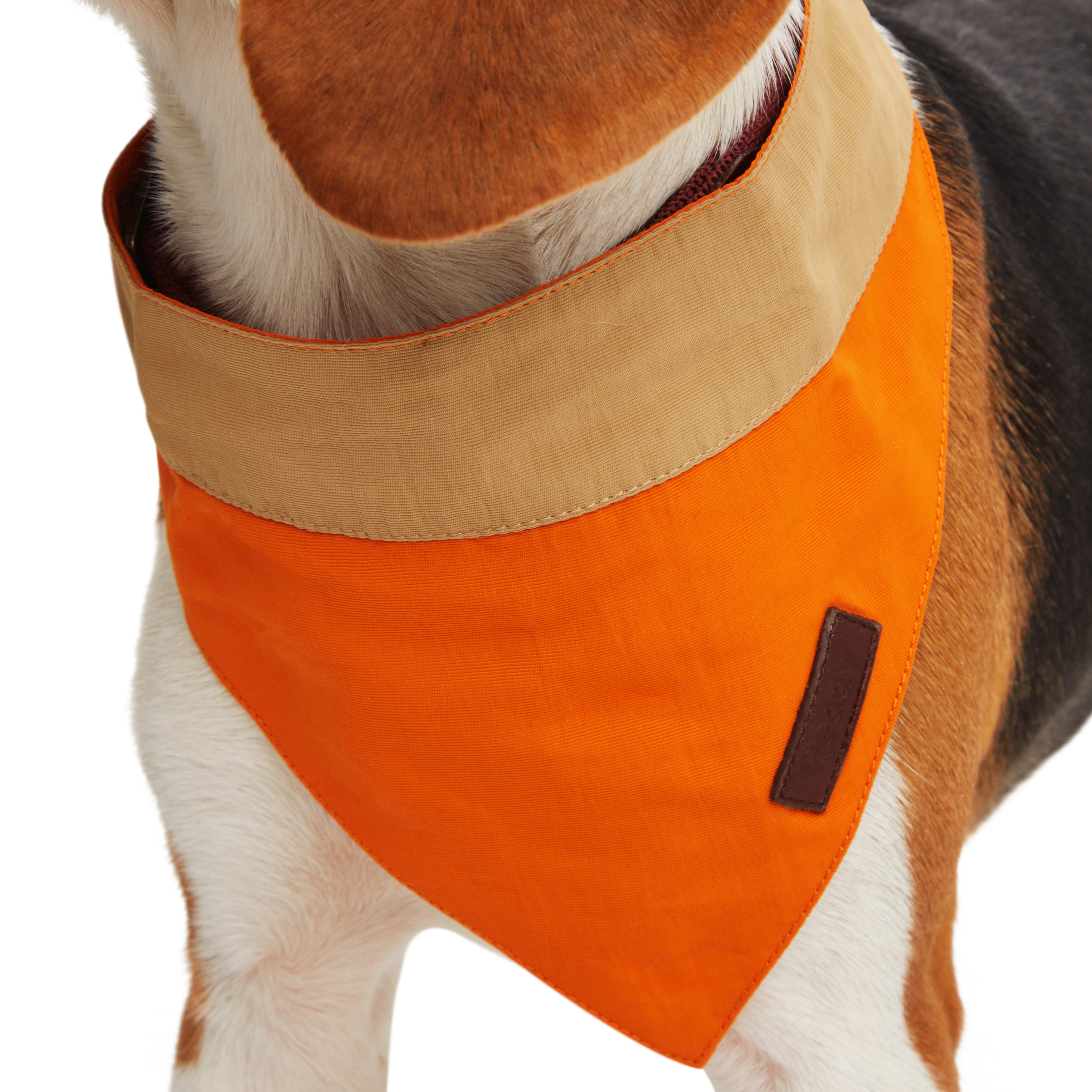 Reddy Tan and Orange Colorblock Dog Bandana， X-Small/Small