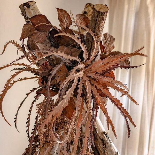 RusticReach Artificial Spider Brake Fern Stem in Brown 43 Tall