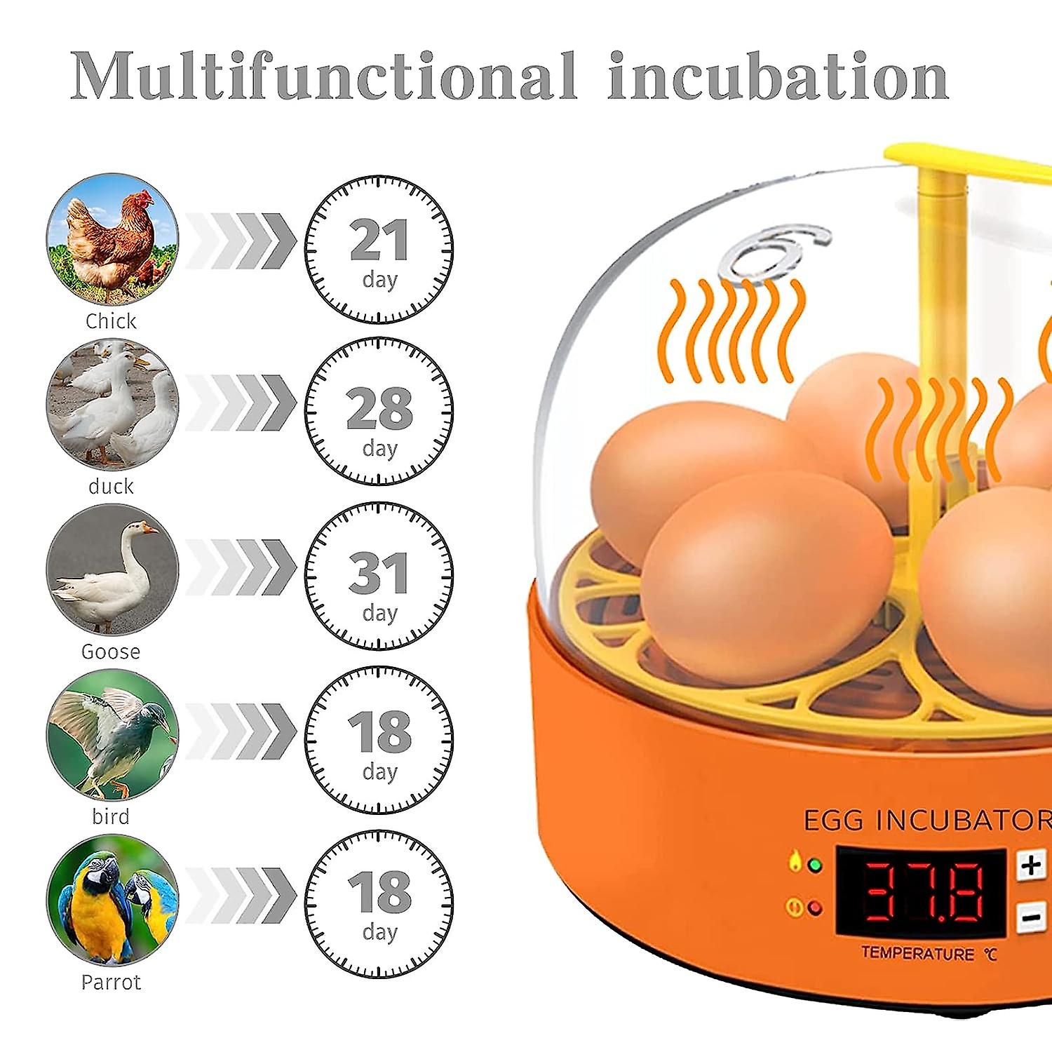 Egg Incubator， Fully Automatic 6 Eggs Poultry Hatching Machine， With Automatic Egg Turning and Temperature Control Digital Incubators， Suitable For Eggs