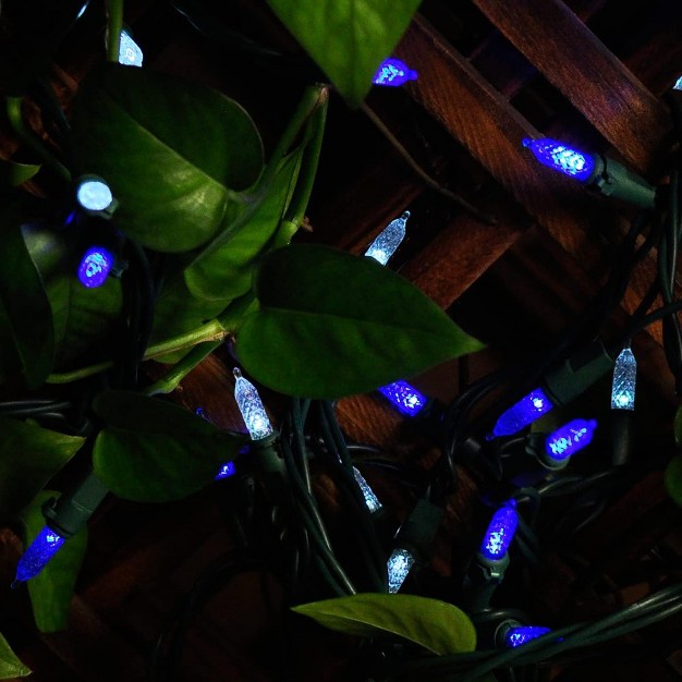 Joiedomi 70 Led Christmas Lights Blue amp White