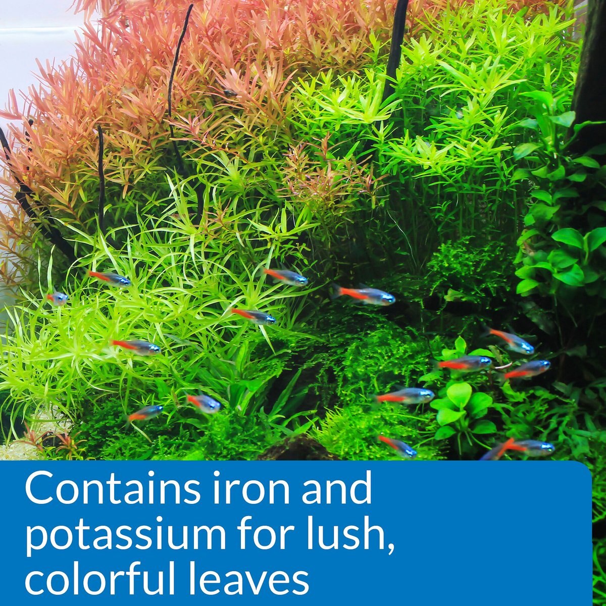 API Leaf Zone Freshwater Aquarium Plant Fertilizer