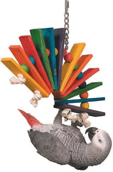 Super Bird Creations Peacock Senior Bird Toy， Large