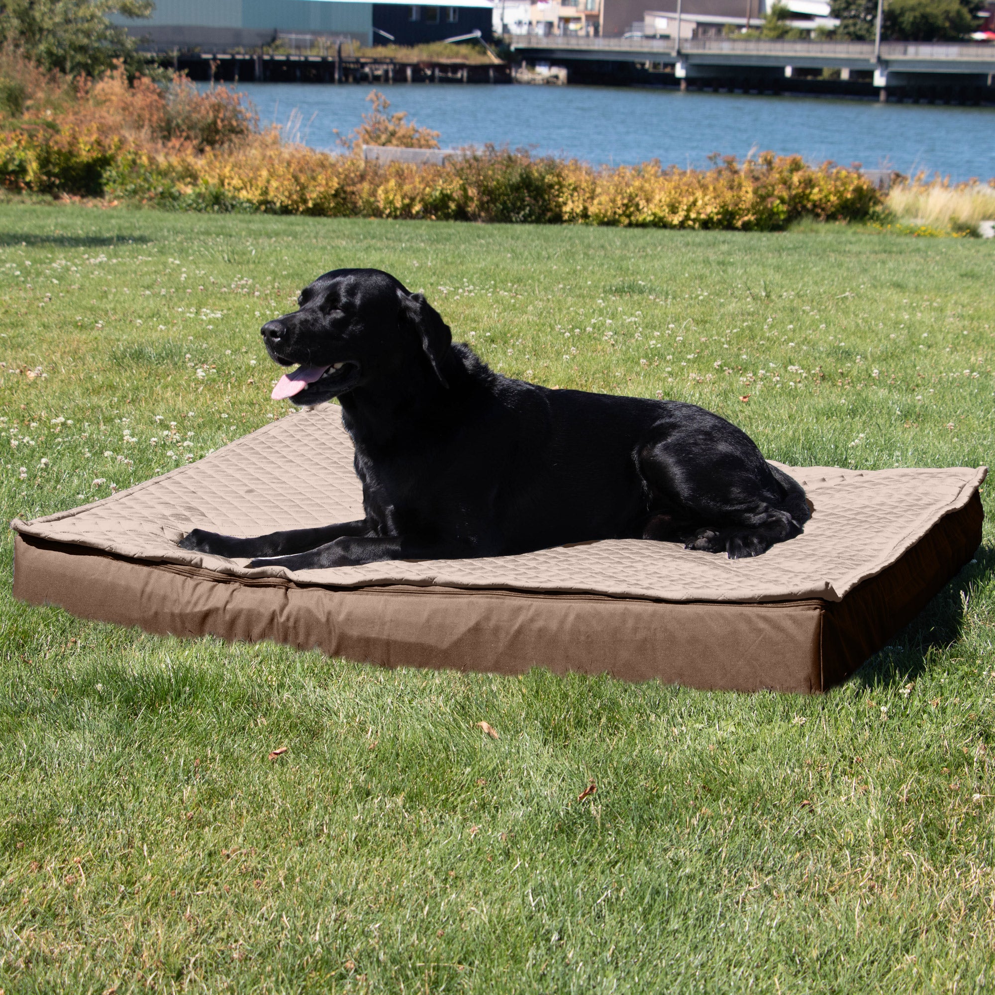 FurHaven Pet Products | Orthopedic Quilt Top Convertible Indoor， Outdoor Water-Resistant Bed for Dogs and Cats