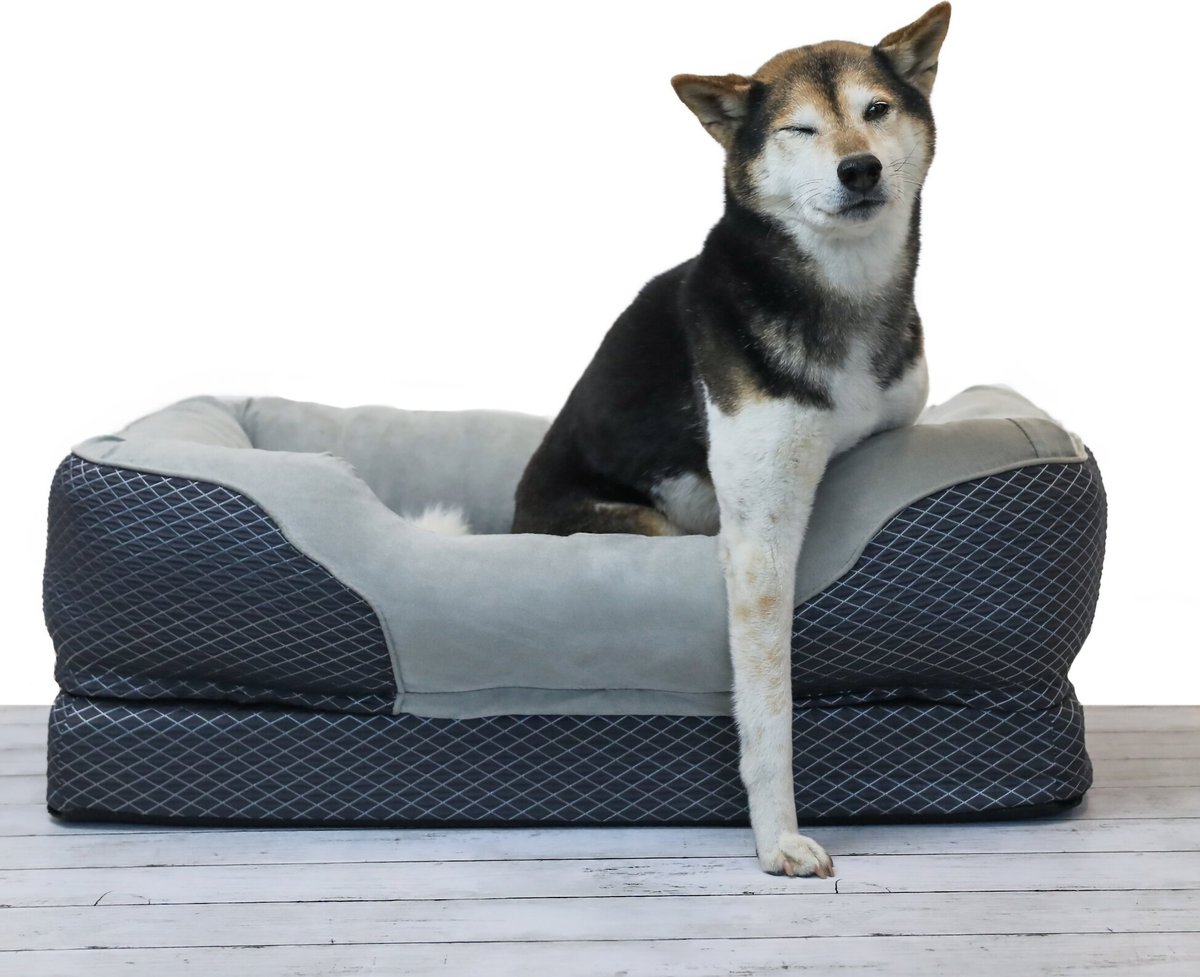 BarksBar Snuggly Sleeper Orthopedic Bolster Dog Bed w/Removable Cover， Gray