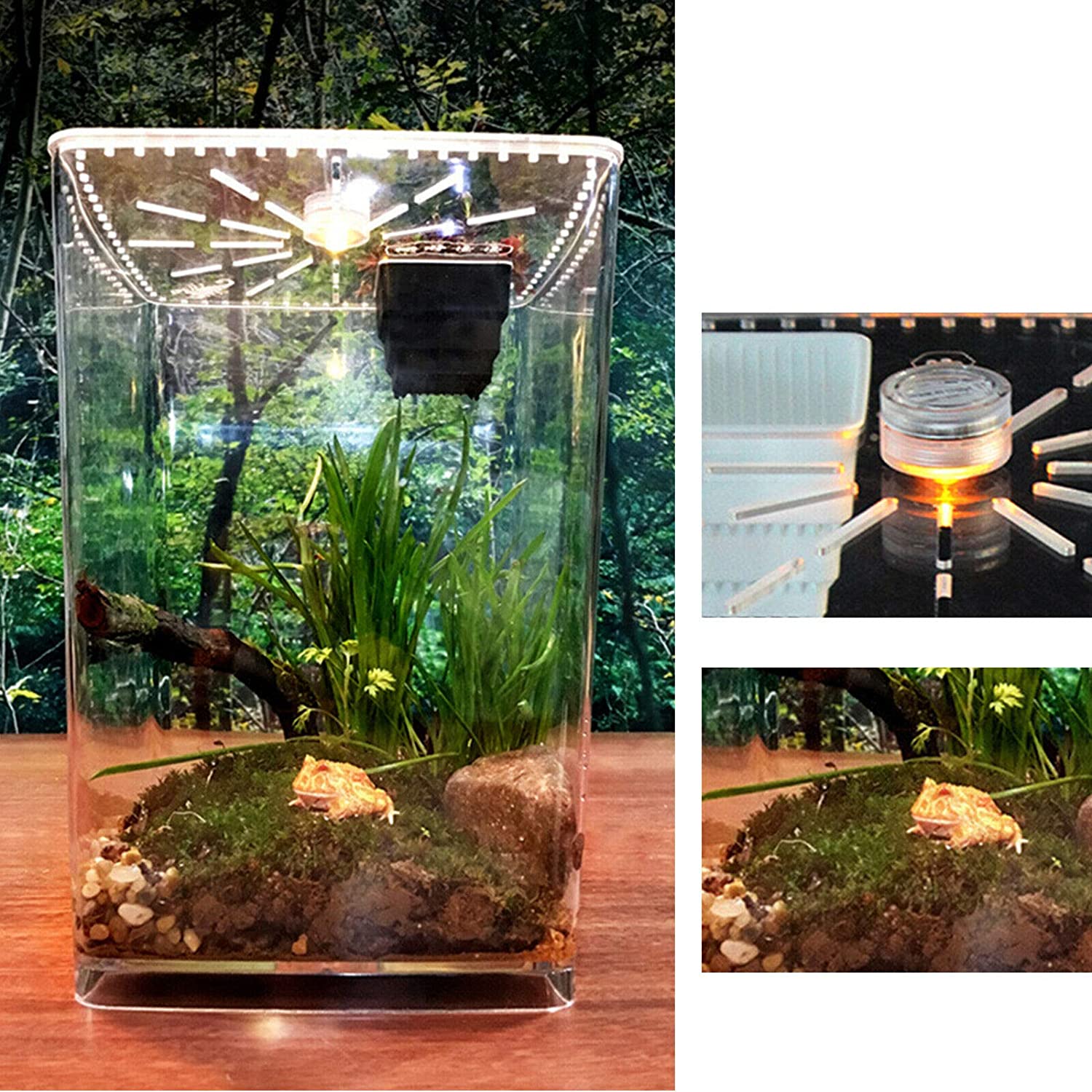 Acrylic Enclosure Terrarium Supplies for Tarantula Scorpion Reptile Tank 29.5cm