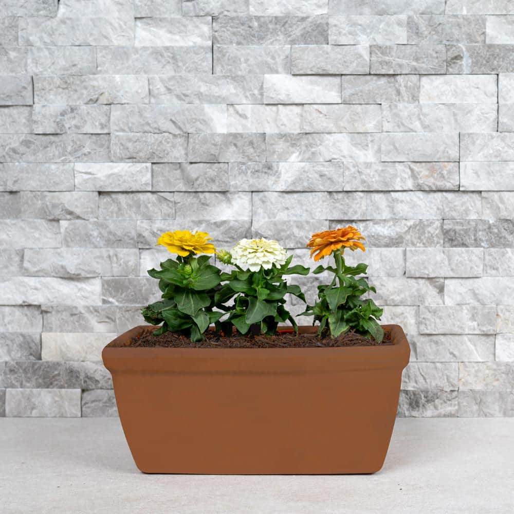 MSI 12 in. L x 12 in. W x 5 in. T Terra Cotta Indoor Outdoor Natural Clay Window Box Pot (2-Pack) PTCLWNBX125.5NC